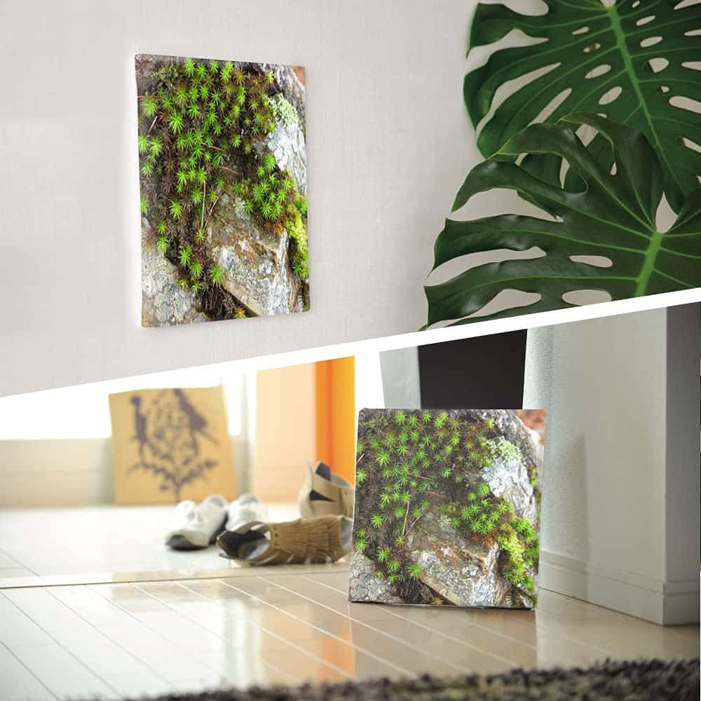Amazon.co.jp: 植物 自然 アートパネル 100cm × 100cm XLサイズ 日本製